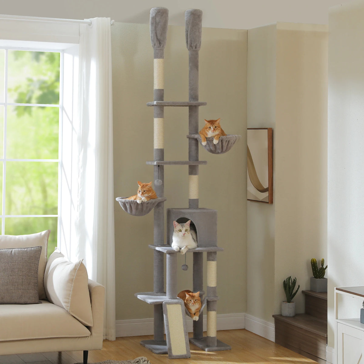 Cleo Toys