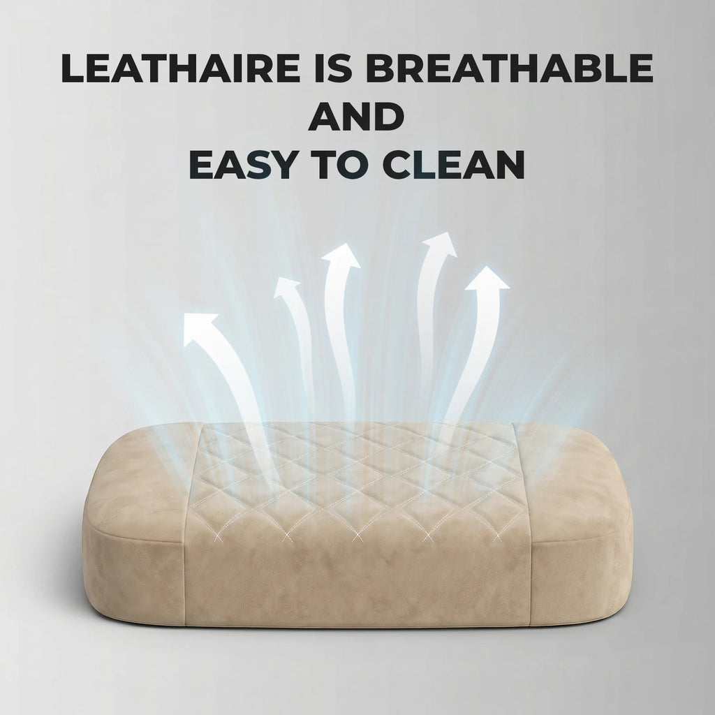 Eve Chair