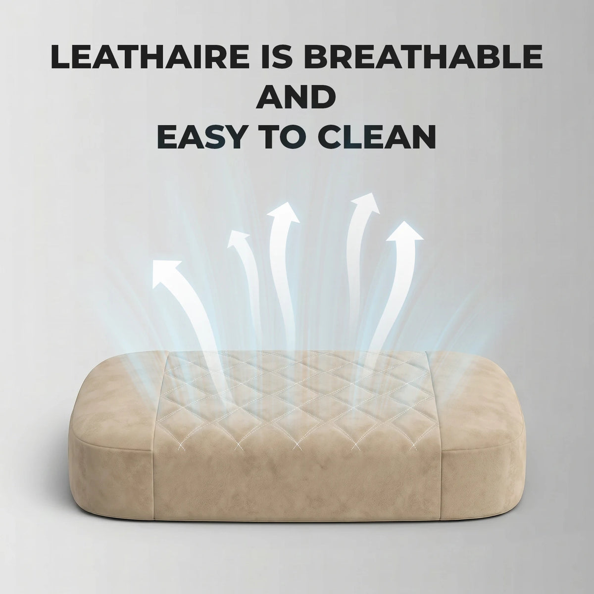 Eve Chair