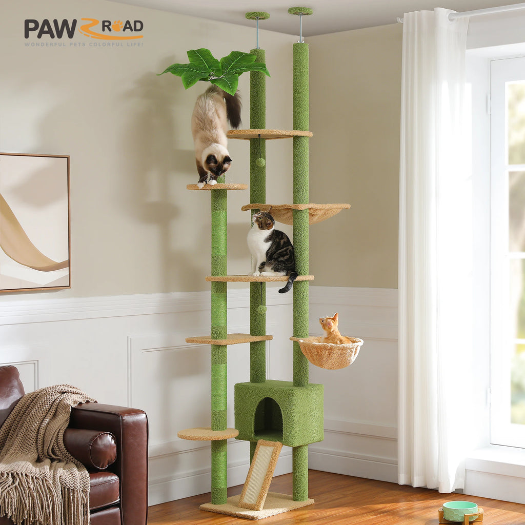 Cleo Toys